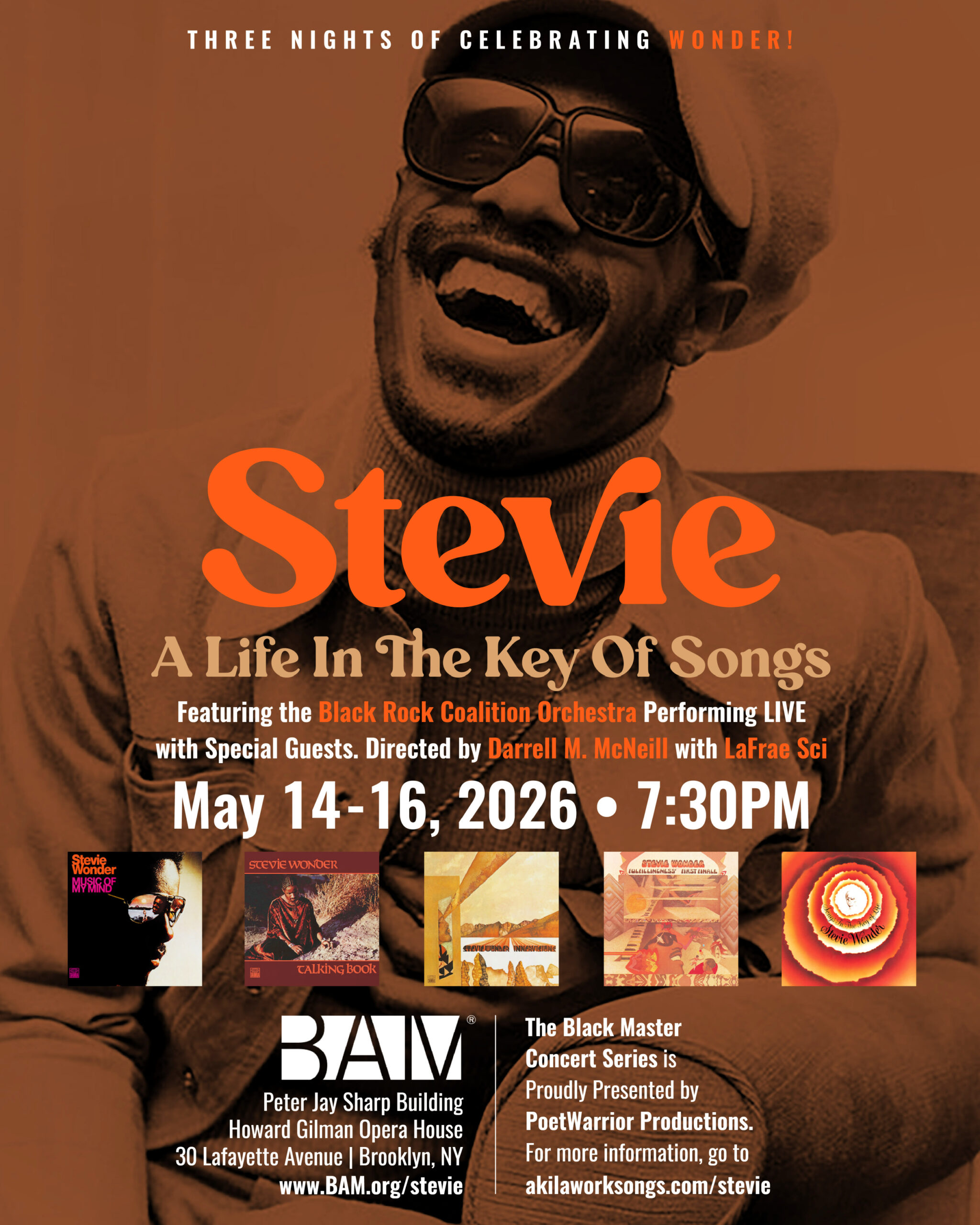 STEVIE: A Life In The Key Of Songs